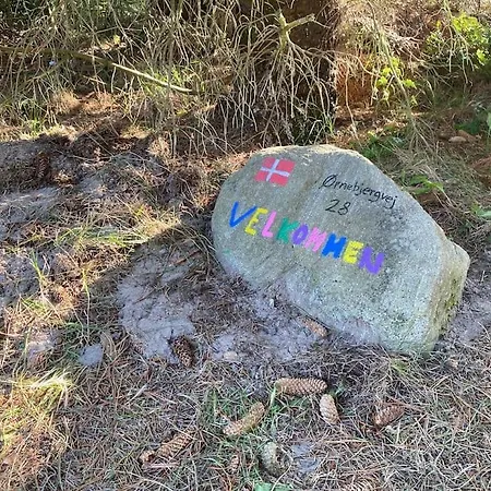 Casa vacanze Pool Summerhouse In Near Blokhus Saltum